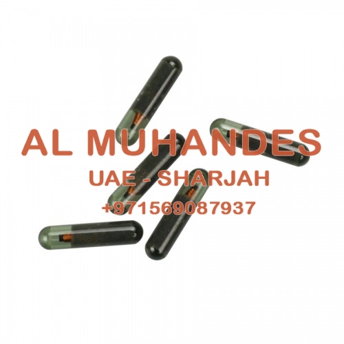 TP25 ID48 Chip for AUDI (A2) 10pcs/lot