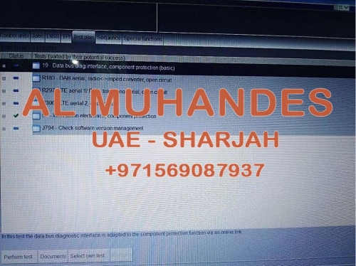 VW/AUDI ODIS Online Programming Service One Time/Monthly Online Input Coding Account For VAS 5054A/VAS6154